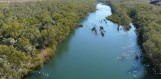Protecting our waterways - Fortescue River, Millstream National Park